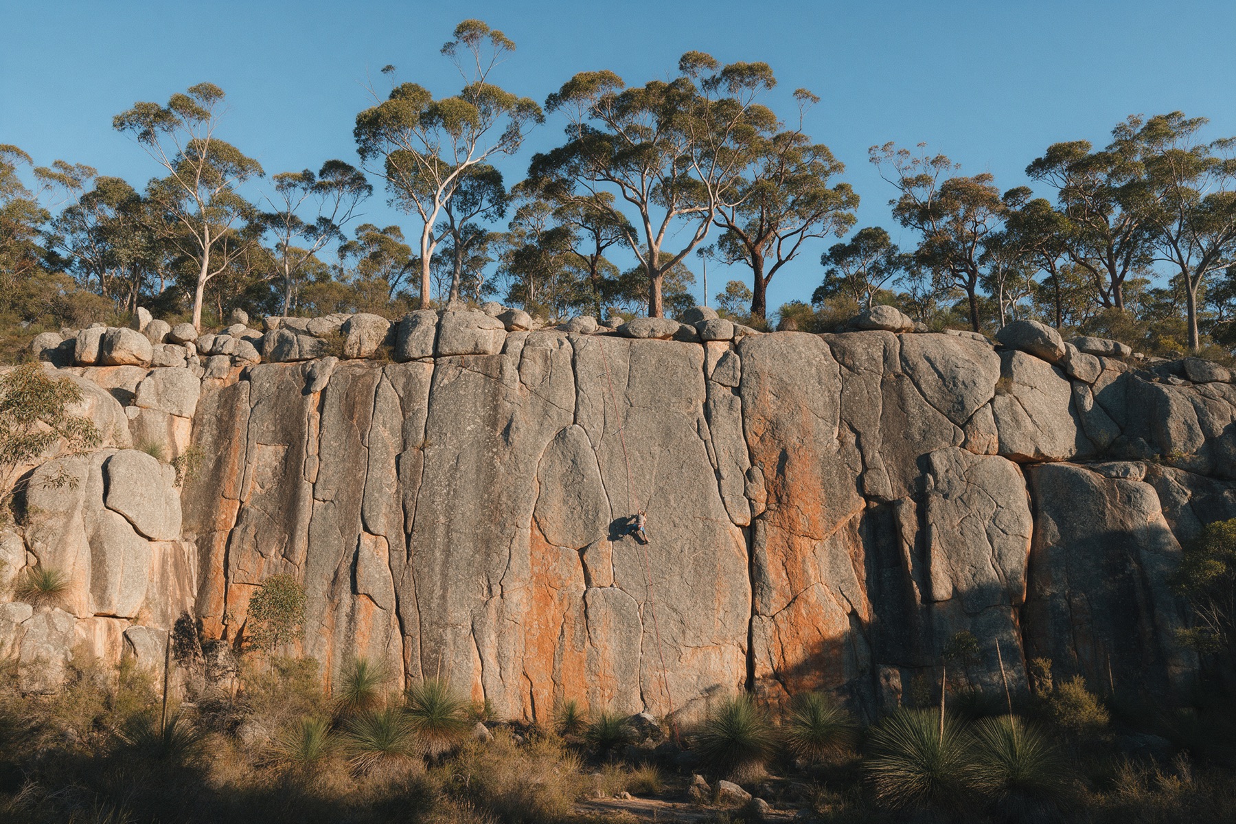 A wide granite quarry wall with orange streaks and gum trees along the top, a tiny climber on the face.